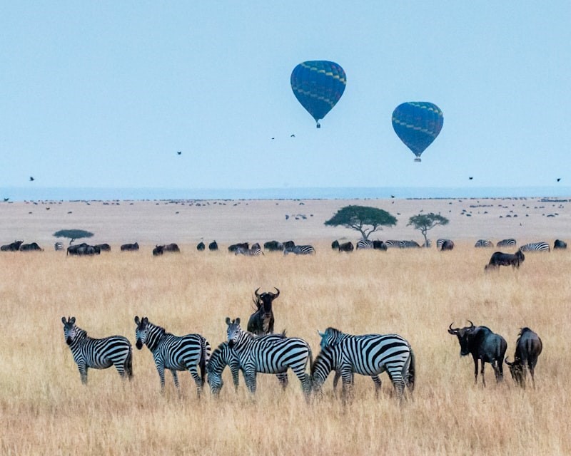 Safari Kenya prenotando da Sicilia