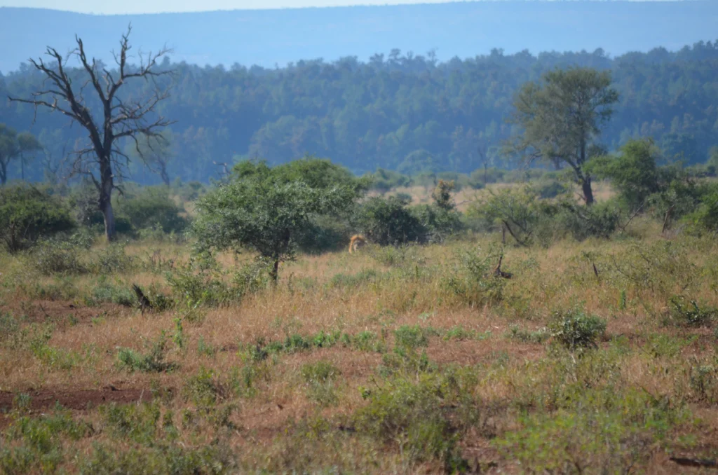 Safari Kenya da Bolzano