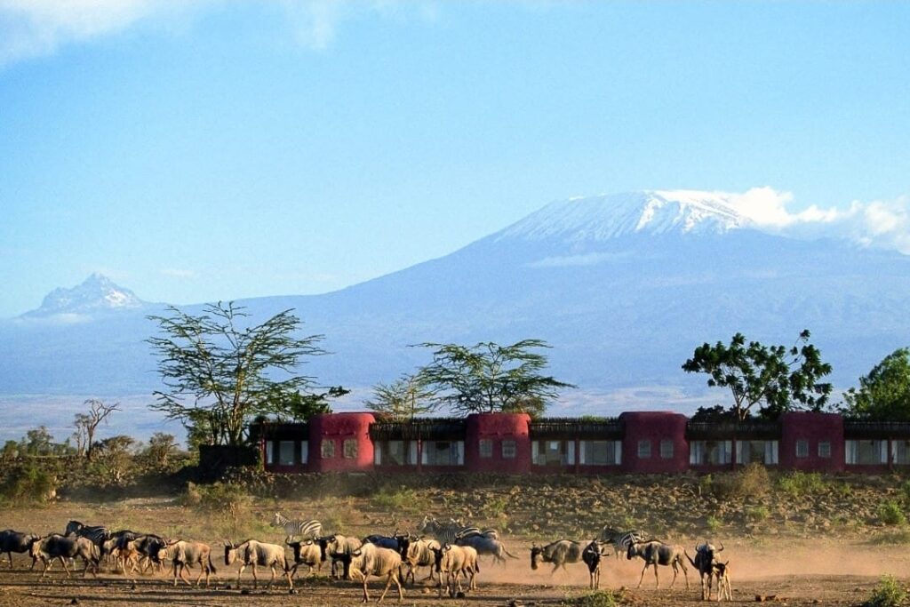 amboseli kilimanjaro