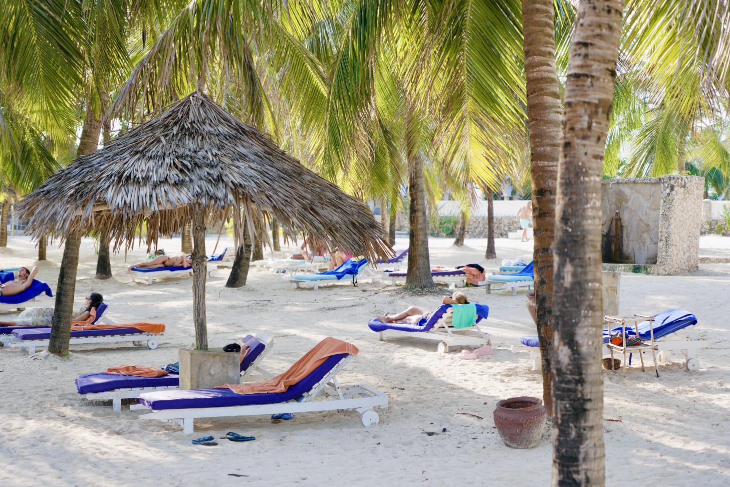 jacaranda beach