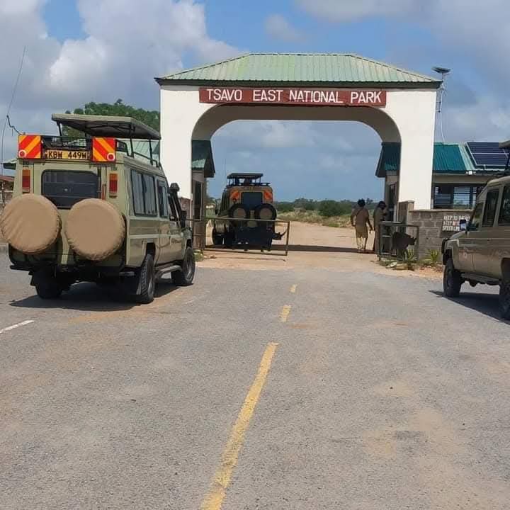 Safari 2 giorni Tsavo Est: L''itinerario perfetto per un''avventura autentica nel 2026.