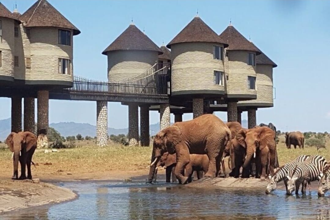 Viaggiatore che consulta il programma del safari all’aria aperta