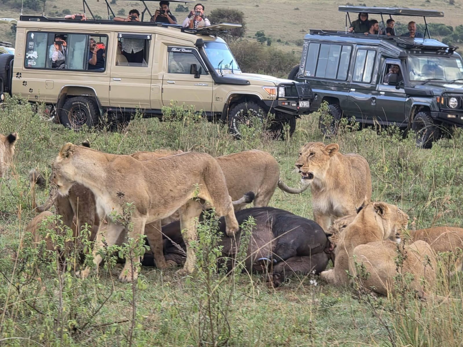Fototrappola impiegata per l’osservazione degli animali nella savana. Animali rari in Kenya