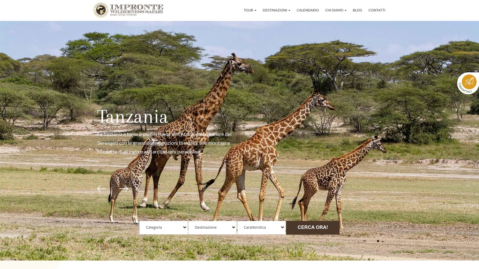 https://iwsafari.com