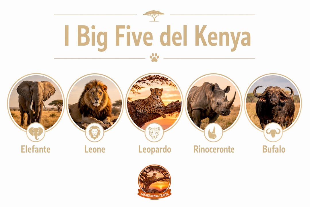 Infografica che illustra la gerarchia dei cinque grandi animali simbolo del Kenya