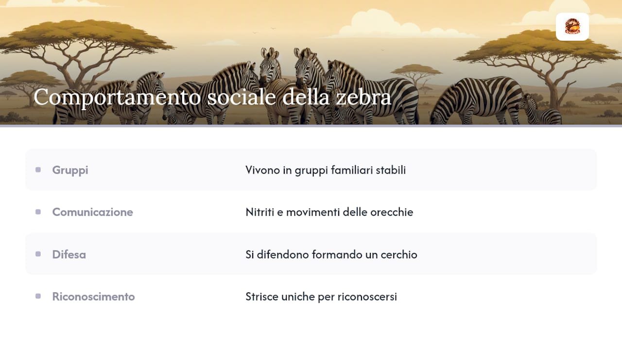 Schematizzazione delle dinamiche sociali e dei sistemi di comunicazione delle zebre