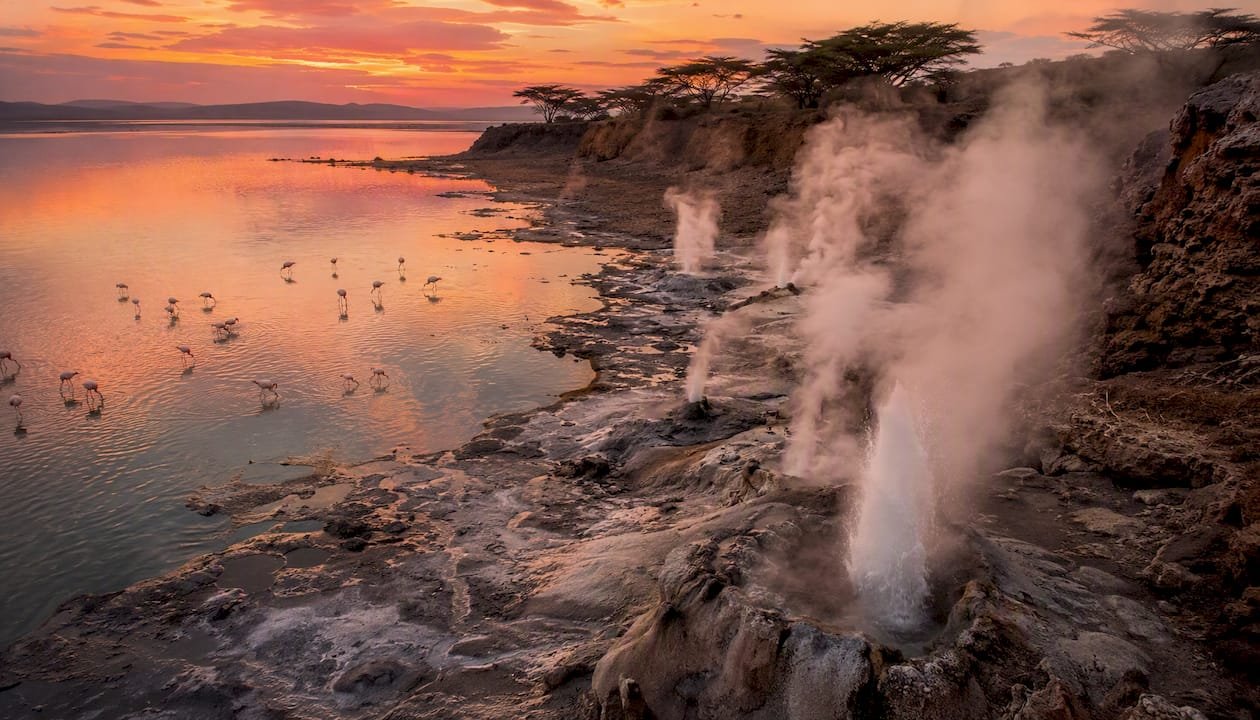 I geyser attivi e le eleganti colonie di fenicotteri rosa rendono il Lago Bogoria uno spettacolo unico della natura.