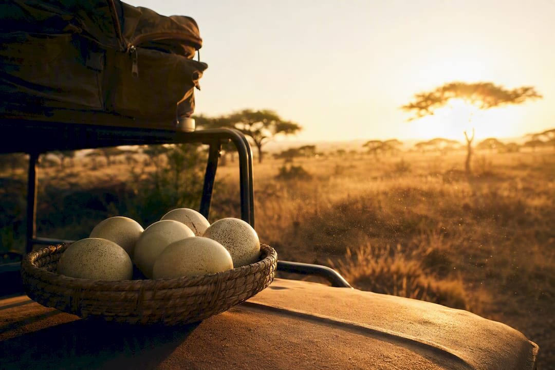 Quante ore di jeep safari prevede una giornata in Kenya | Kenya Safari Travel Alba in Kenya: uno scorcio di jeep durante un safari
