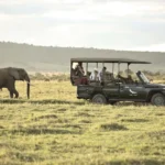 Safari tempo destinazioni