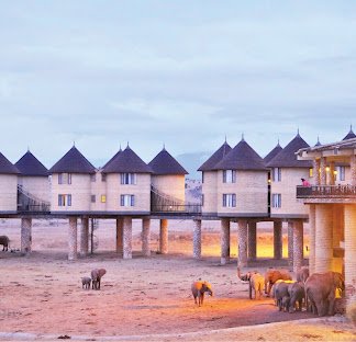 Salt Lick Safari Lodge
