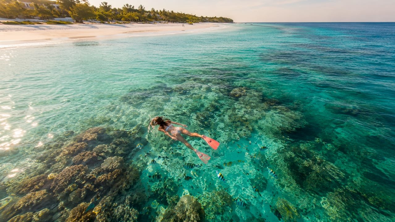 Subacqueo che fa snorkeling sopra una barriera corallina a Watamu o Diani