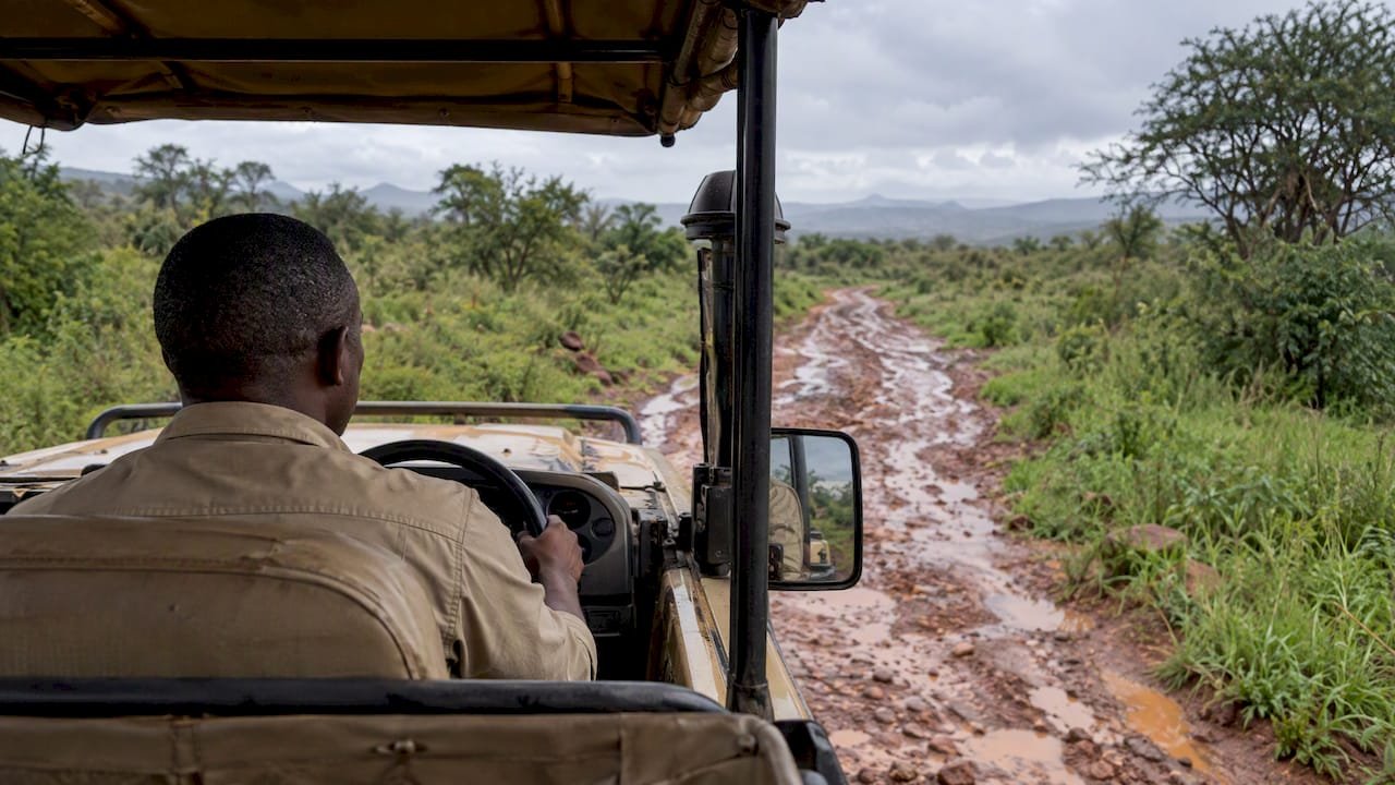 Veicolo da safari su un sentiero verde e tranquillo