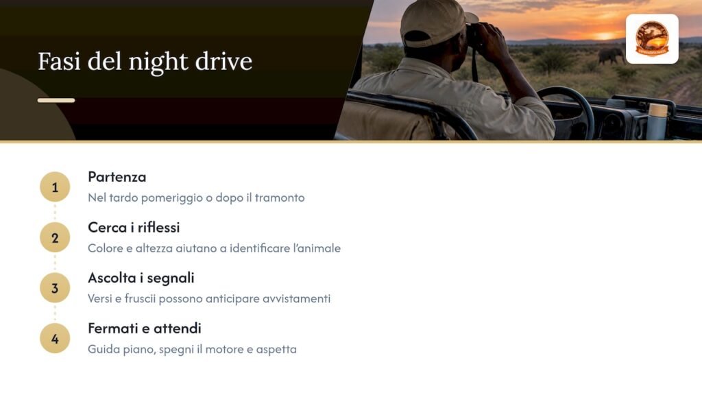 Animali notturni da safari