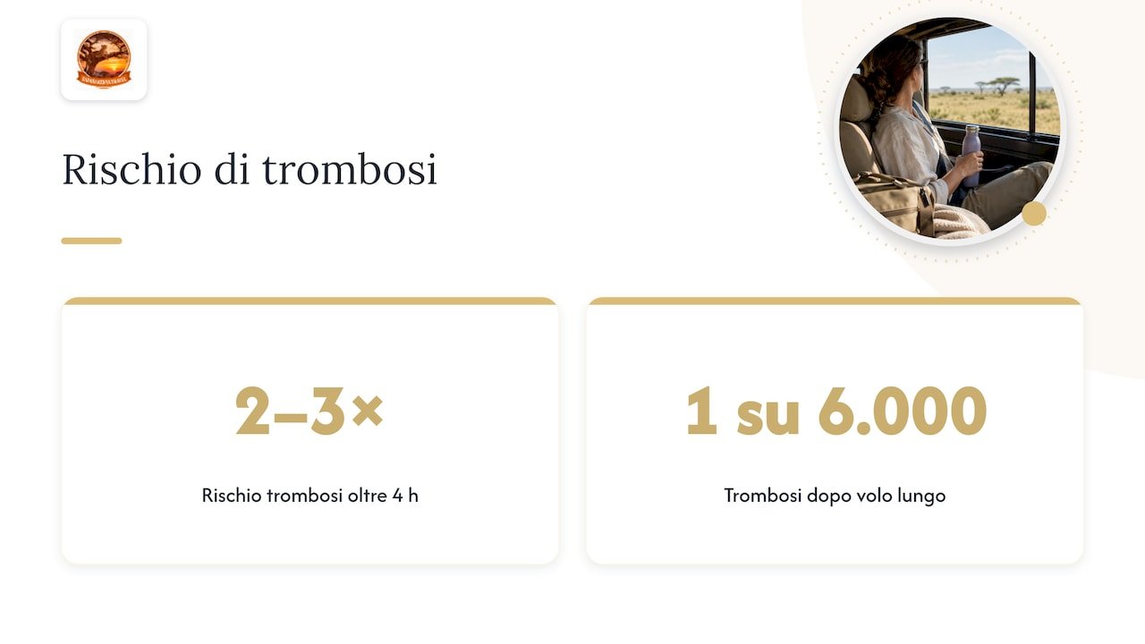 Lunghi trasferimenti: non solo nausea — overview diagram