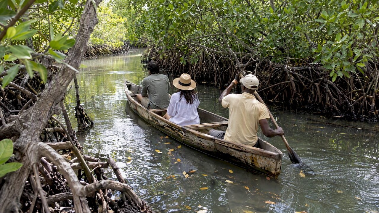 In canoa tra le mangrovie di Mida Creek