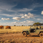 Safari in Tsavo East con elefanti rossi del Kenya Booking Kenya Safari